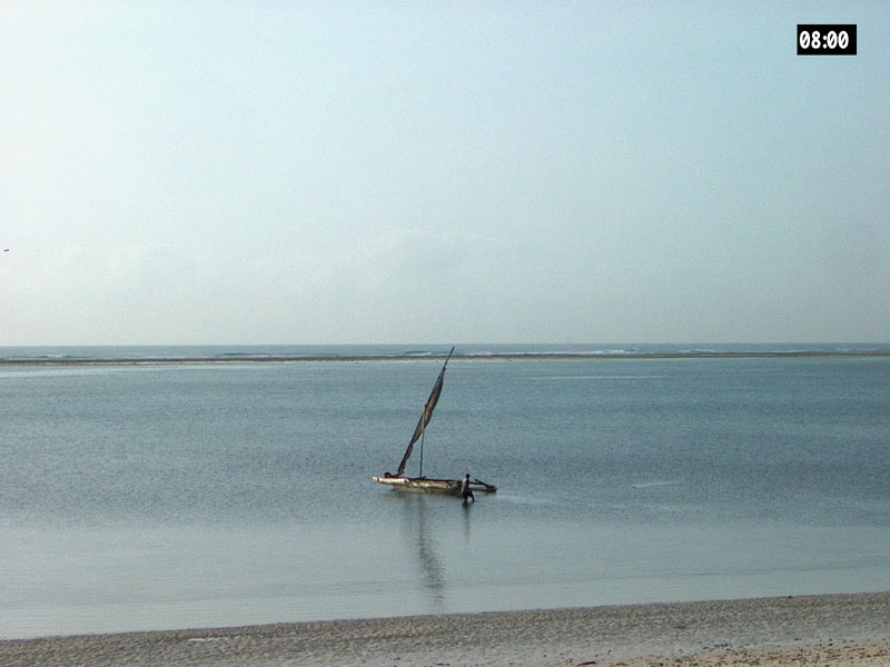 IM002054