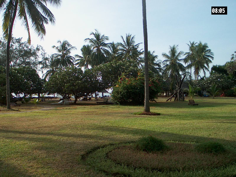 IM002058