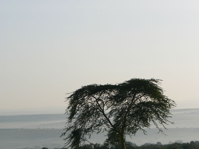 P1010428