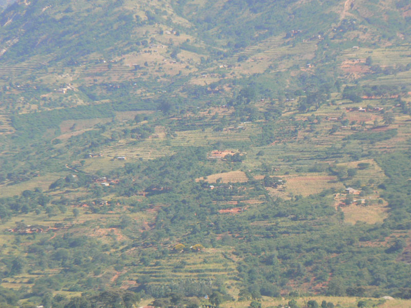 P1010316